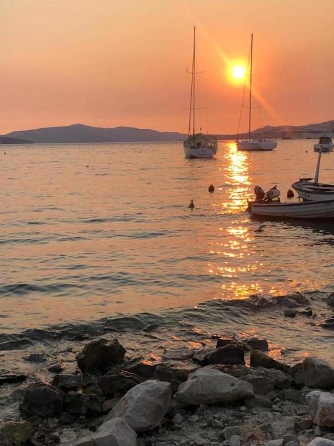 Apartman Alajbeg *