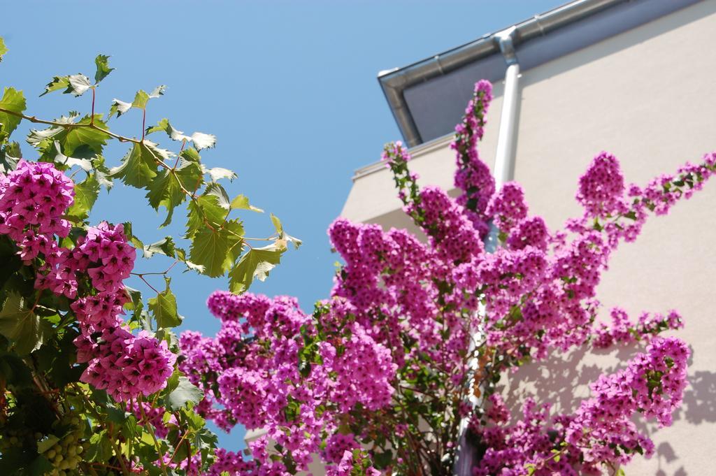 Apartman Alajbeg Trogir